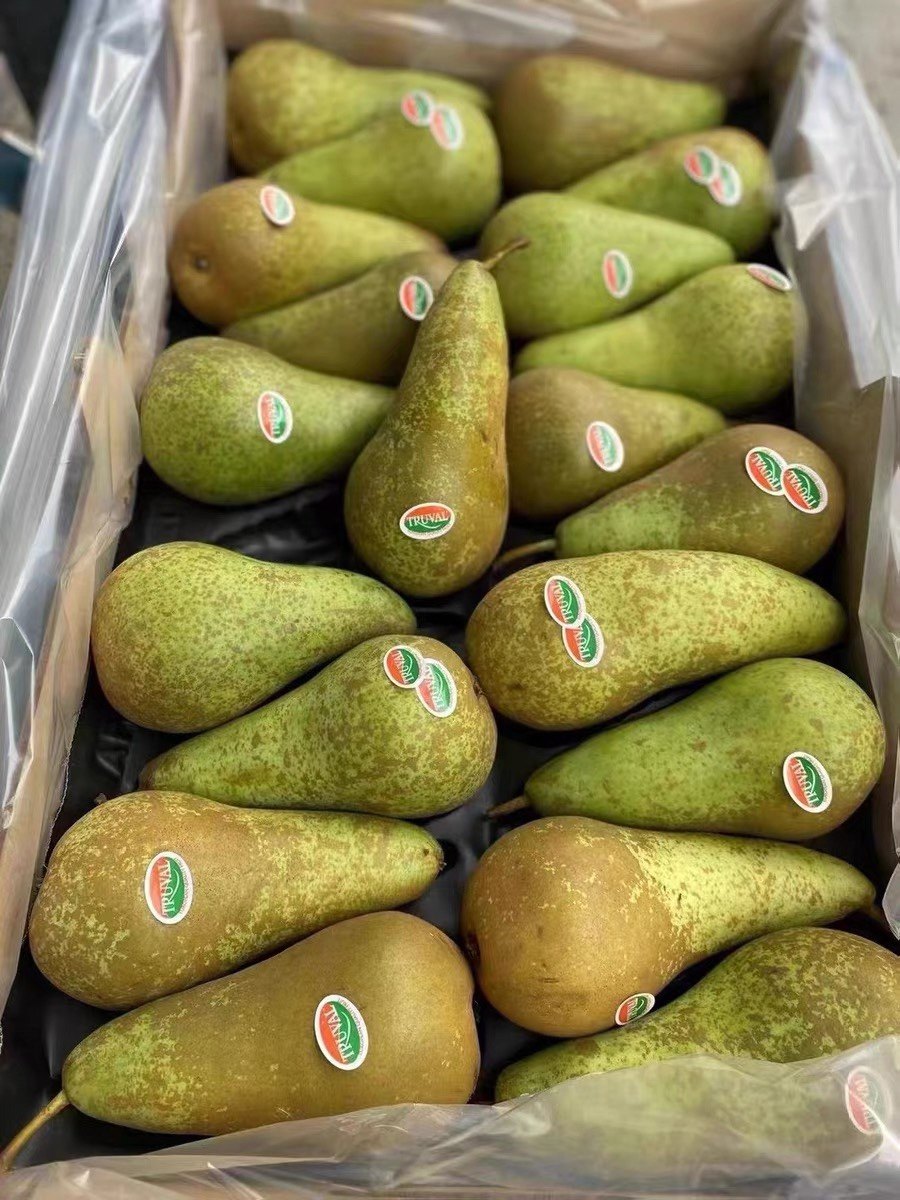 比利时啤梨进口新鲜大果孕妇宝宝辅食水果软糯梨
