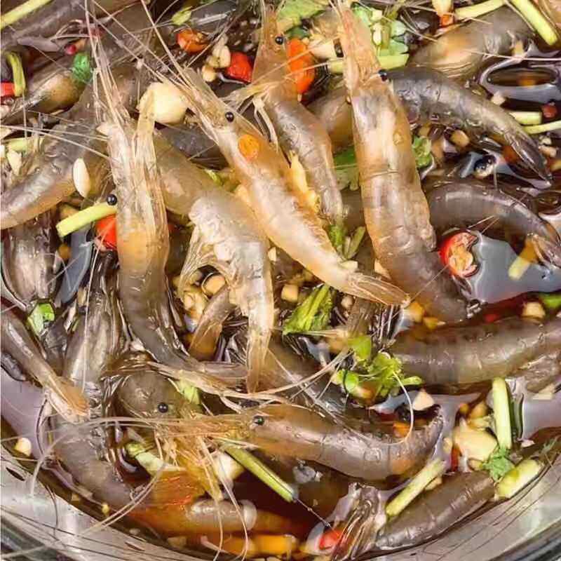 盐城醉虾即食生小白虾生腌小青虾鲜活呛虾即食活虾