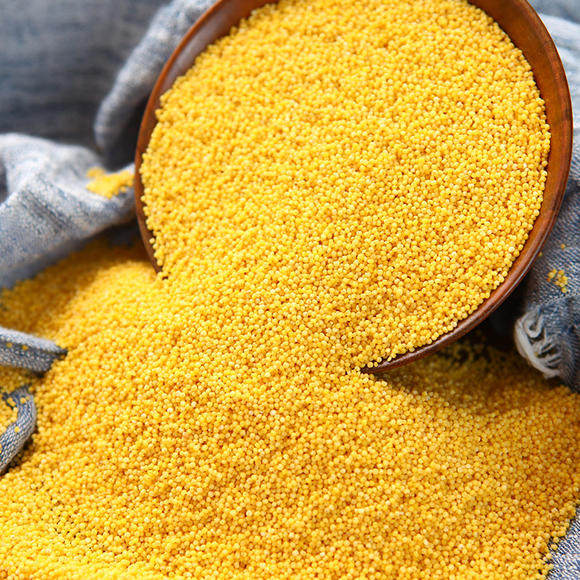 舌尖上的貂蝉2020新米陕北米脂小米5斤散装小米