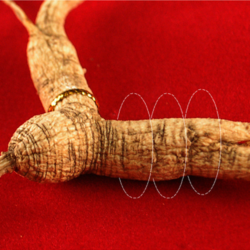 融泽正品长白长白山山山人参礼盒盒装野山参生山参