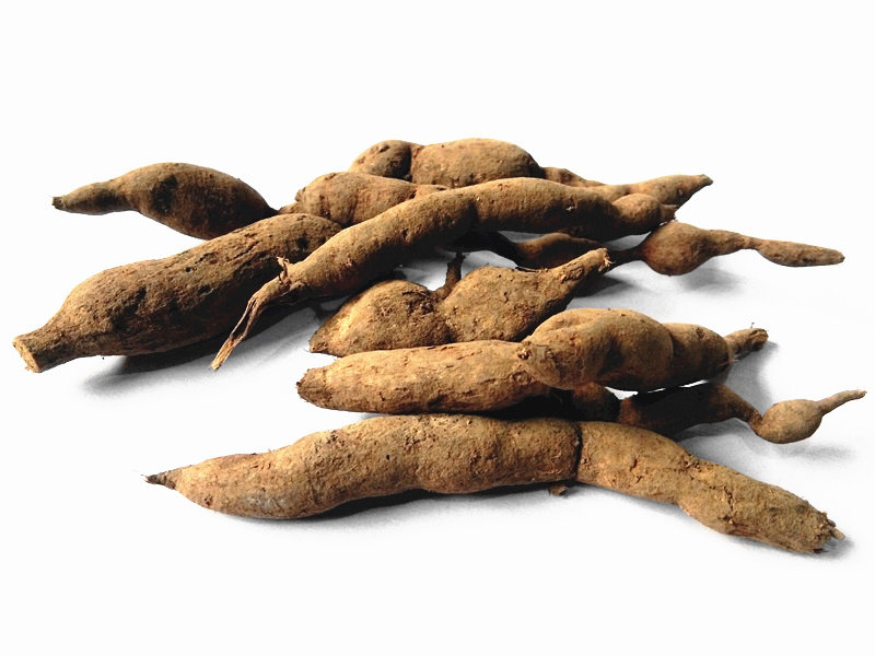 贵州野生雪里开生中药材地雷拐子药蛇松子单叶其他药食同源食品