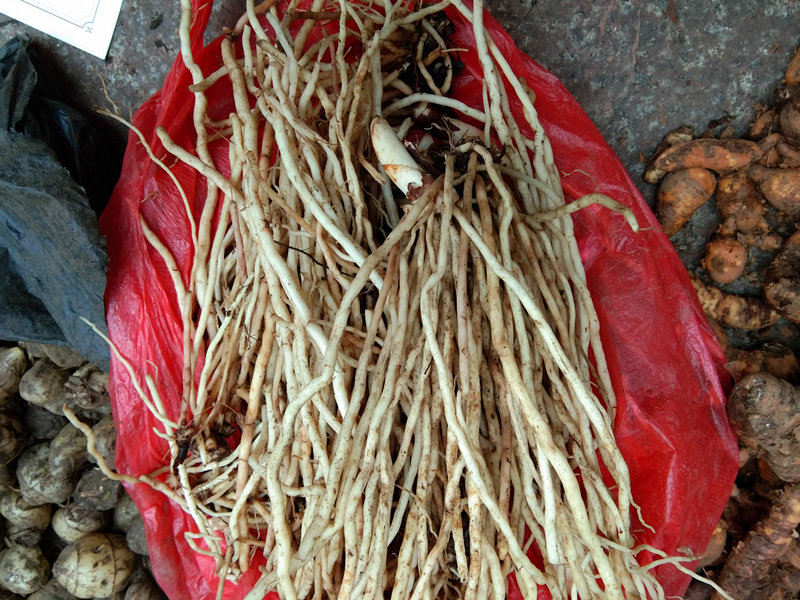 贵州万寿竹山竹倒竹铎草参宝竹叶新鲜野生包邮其他药食同源食品