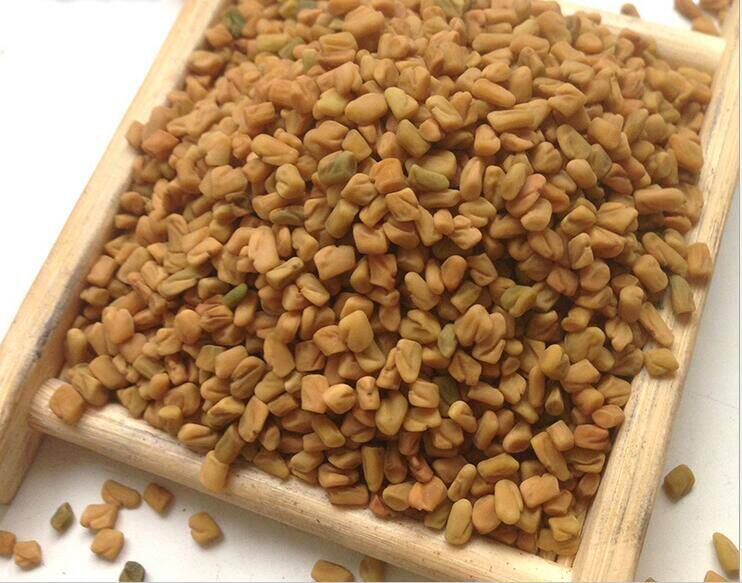 凉皮调料专用苦豆籽500g陕西辣椒油专用芦巴子胡巴香草籽子葫芦巴