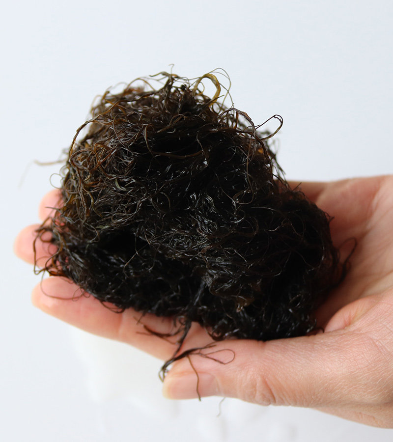 发菜日晒海干货特级洗头海藻菜龙须菜发菜丝农家紫菜