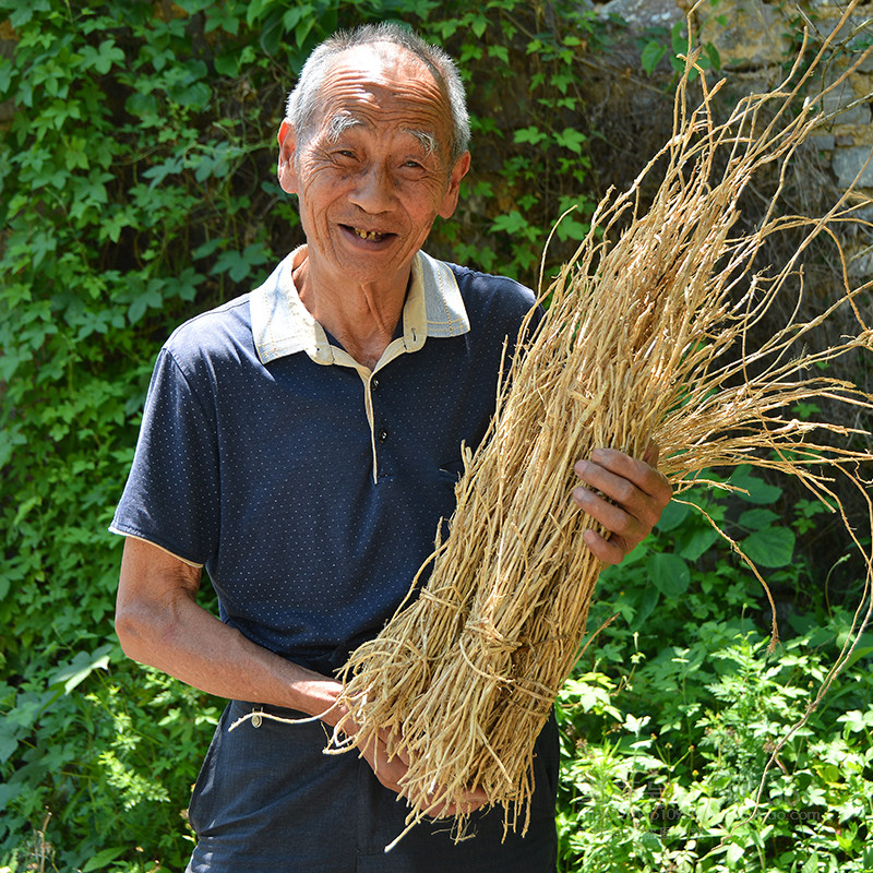 草根白茅根干农家甜无硫白茅深山干泡水喝竹蔗其他药食同源食品