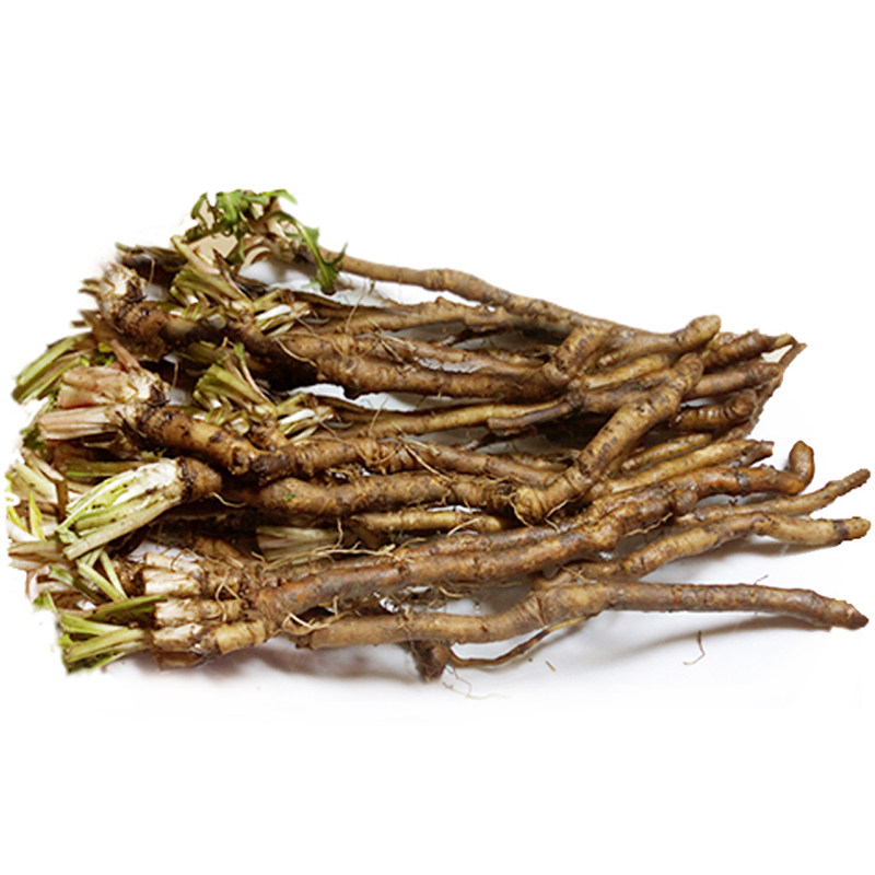 新鲜 蒲公英根 野生蒲公英根茶带根 婆婆丁根种子苗 现挖野菜500g