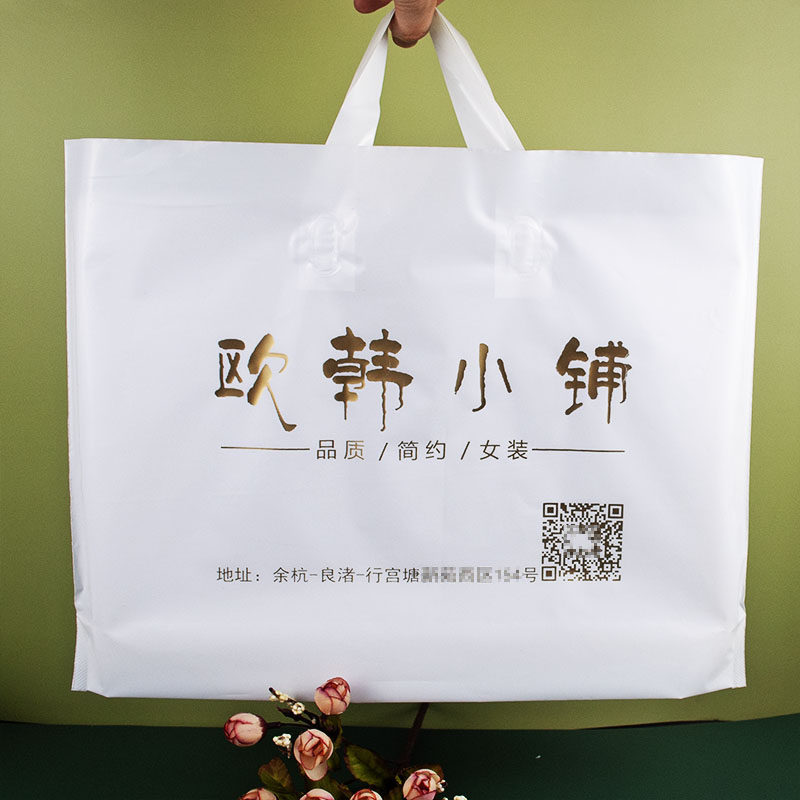 服装店手提袋子定制礼品袋包装袋塑料袋定做印logo女袋时装购物袋 –