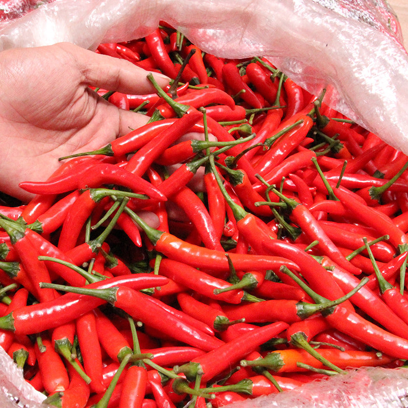 新鲜小米米辣椒3斤云南朝天椒装泡椒特辣红辣椒辣椒