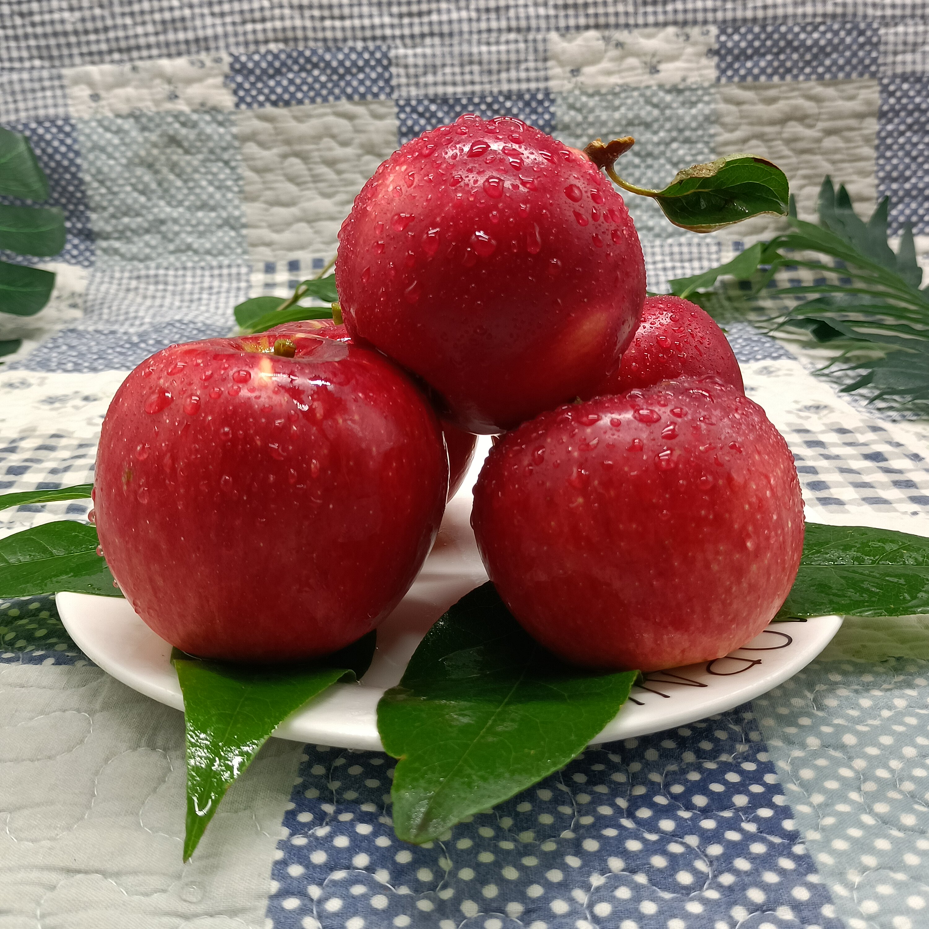 苹果云南昭通通红野生冰糖糖心脆甜富士应季苹果