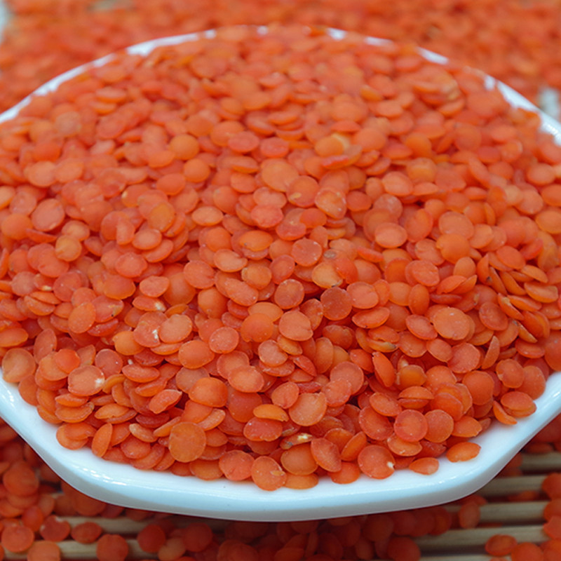 土耳其红小扁豆 马粟豆红莲奴豆五谷杂粮500克