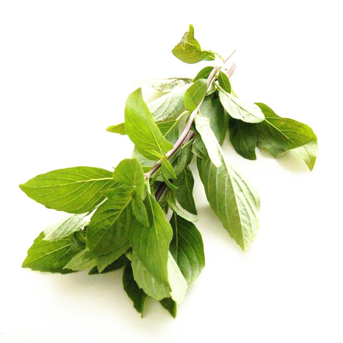 泰国越南菜配料 新鲜打抛叶 塔抛叶 嘎泡叶 呷抛 甲抛叶 500g