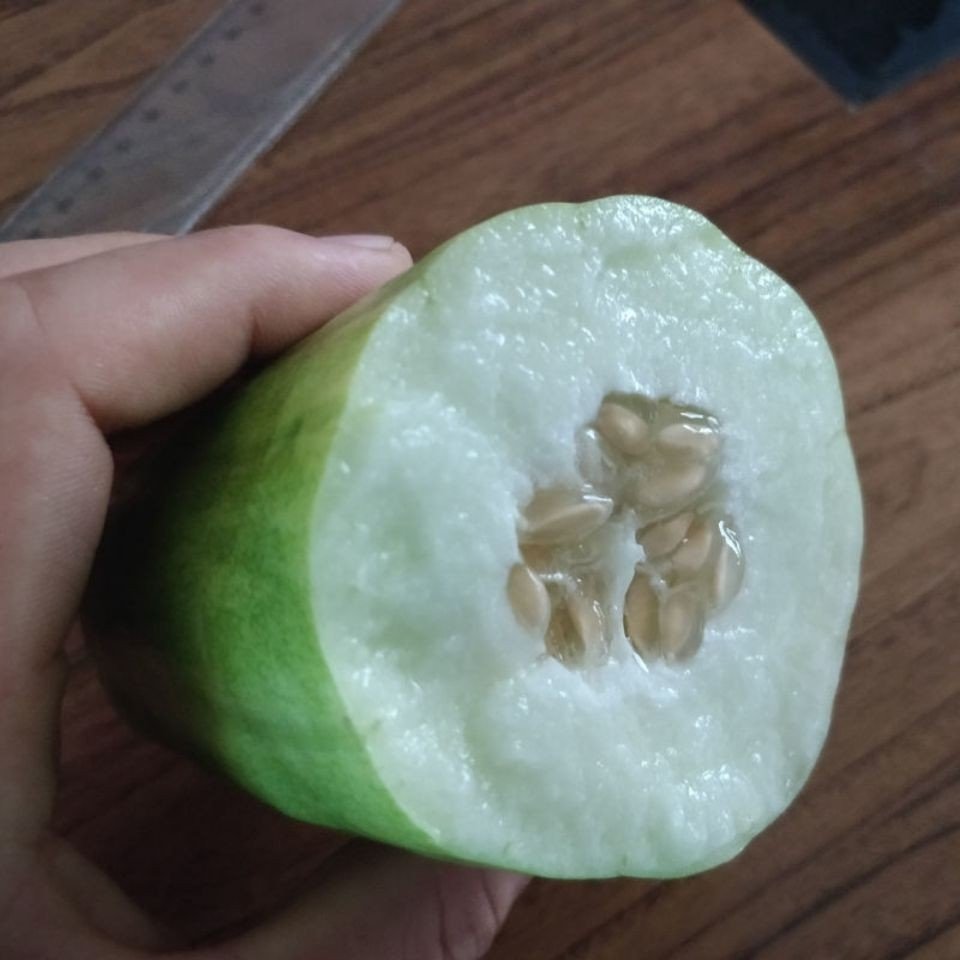 种子八棱脆瓜甜瓜瓜籽菜瓜烧瓜黄河脆生生吃家庭园艺种子