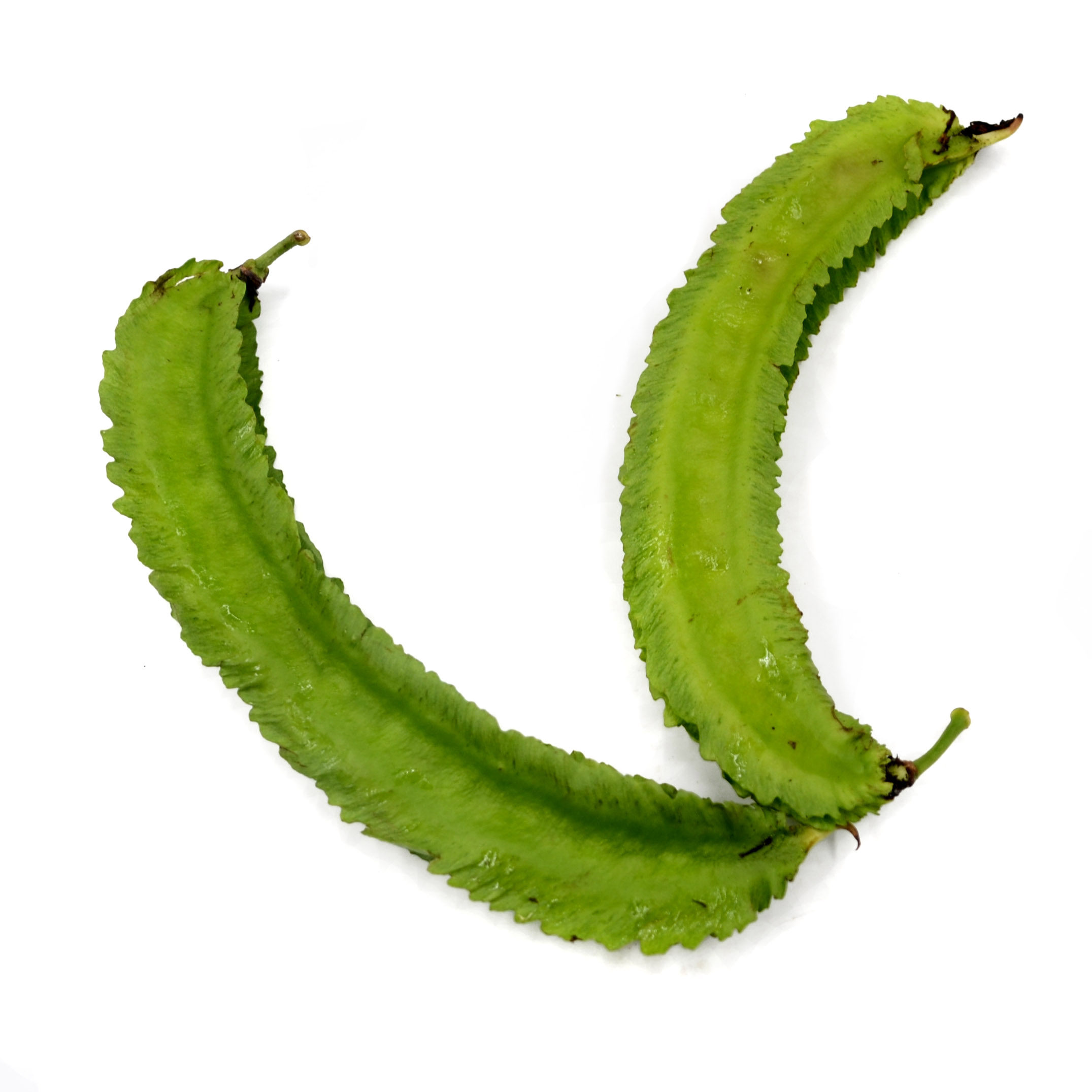 龙豆 四角豆 100g 四棱豆 江浙沪皖任选5件包邮 应季新鲜蔬菜