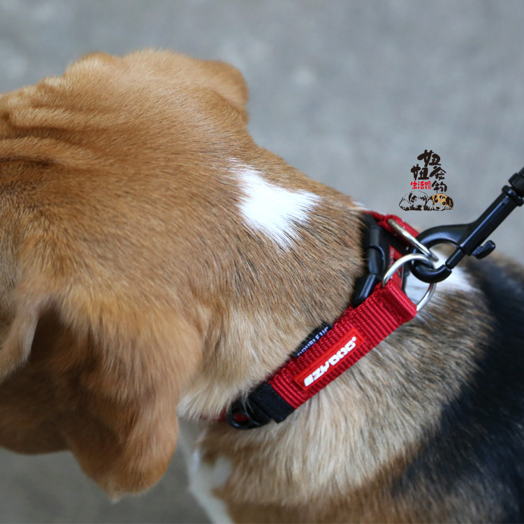 狗狗澳洲ezydog双环项圈犬脖圈双重保护舒适宠物用品项圈
