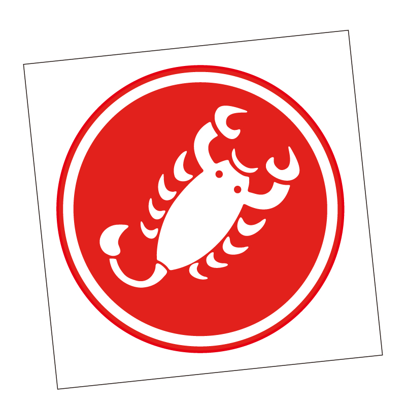 蝎子castelli标志贴纸公路山地车架头盔前叉反光自行车贴纸