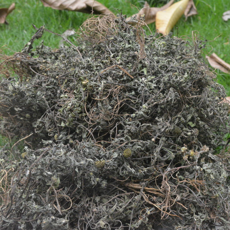 500克新晒野生墨旱莲 整株干品旱莲草 乌发黑发中草药黑墨草 包邮