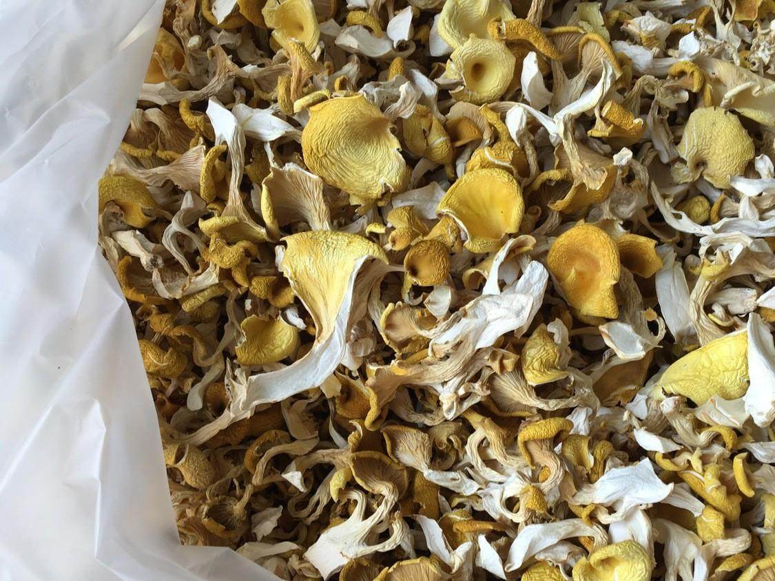 云南500g包邮鸡油干货黄金菇榆黄菇香菇土特产香菇类