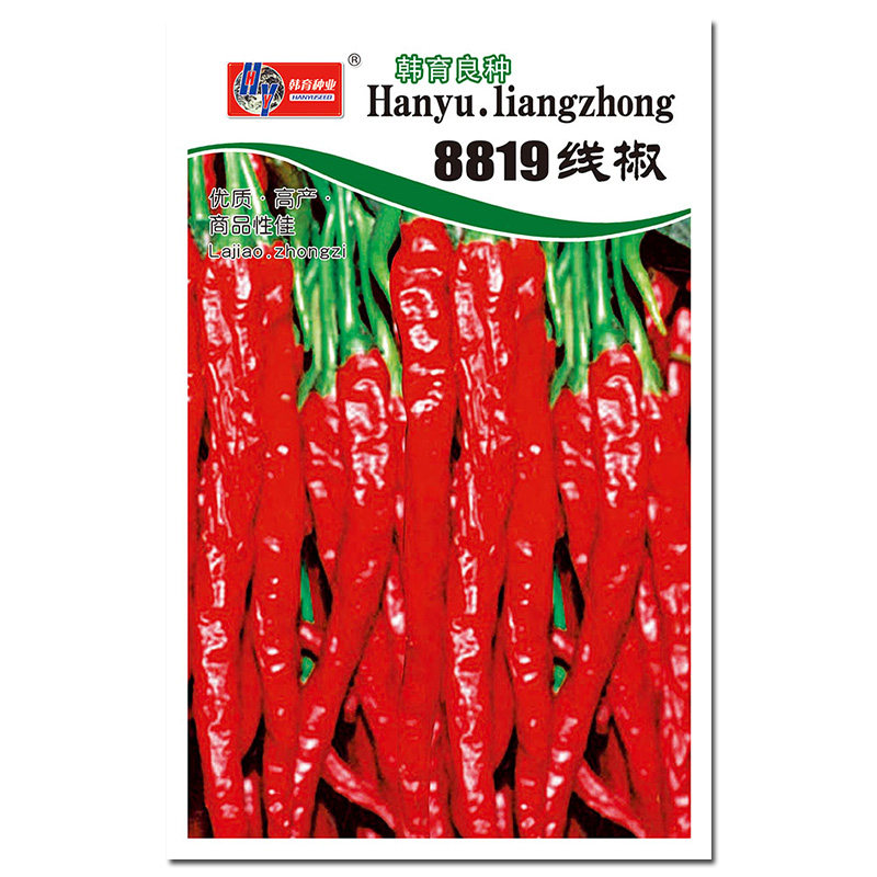 种子8819当季辣椒肉厚味浓辣味蔬菜种植线椒家庭园艺种子