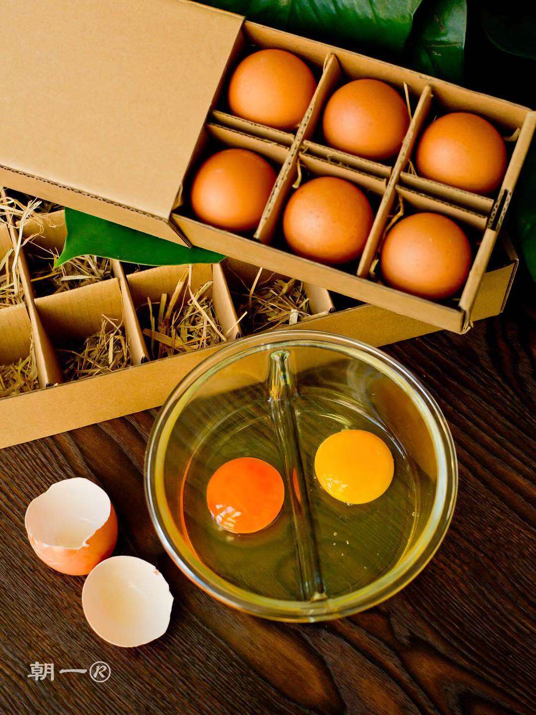 朝一鸡蛋 高营养 可生吃 10枚【臻享装】