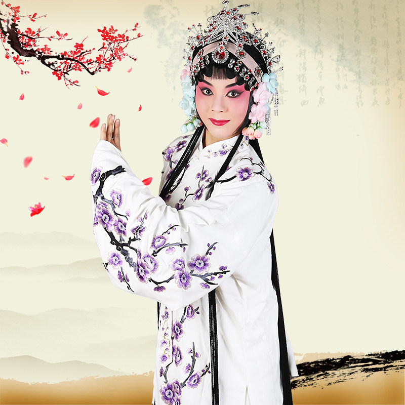梅花青衣京剧戏曲花旦豫剧披绉料大演出演出服民族服装