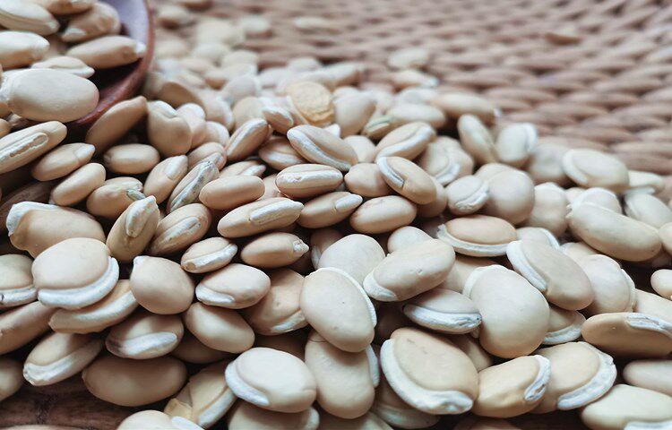 扁豆农家南扁250g粗粮煮粥豆子五谷杂粮白扁豆