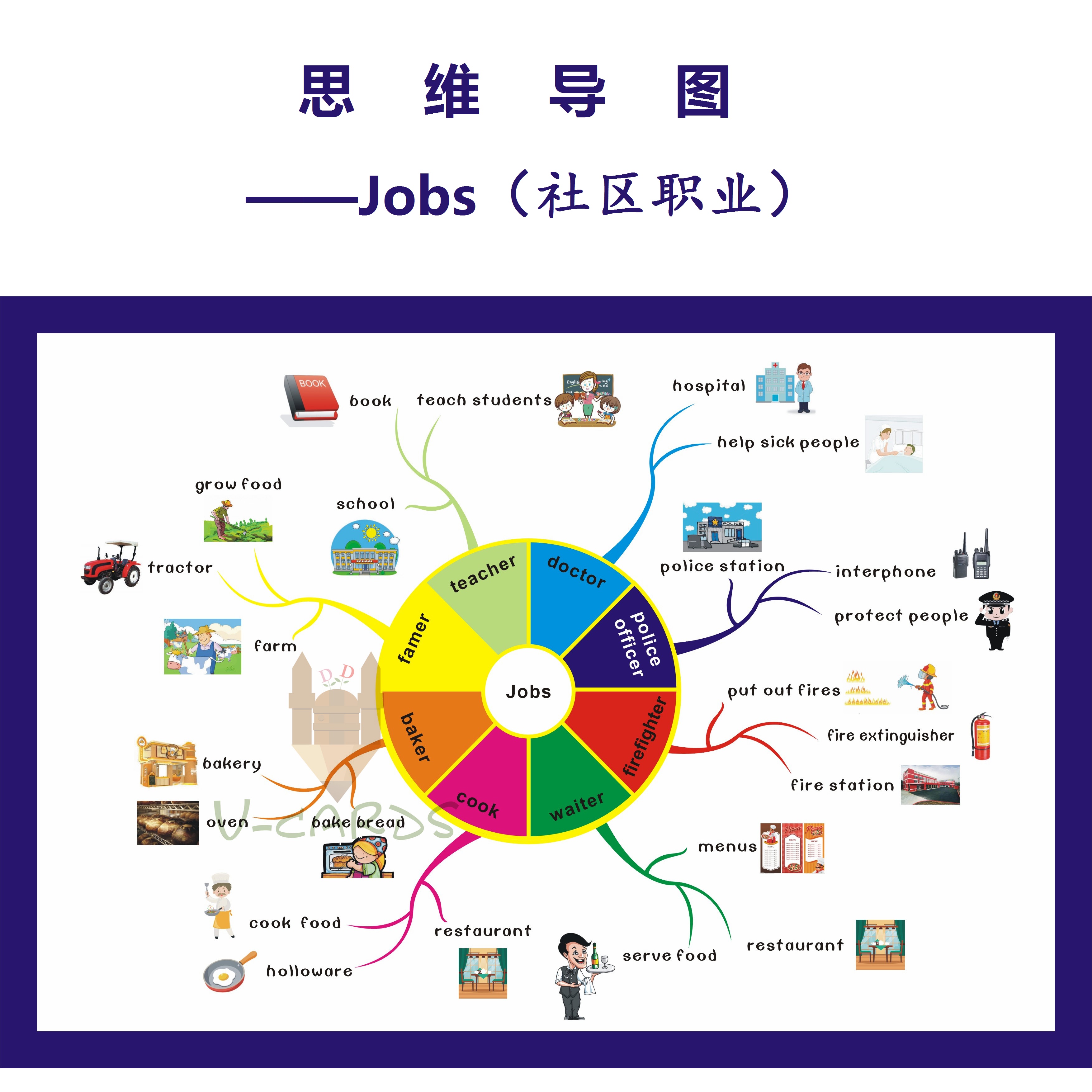 思维导图职业job主题英语教具大卡教室装修装饰海报早教闪卡