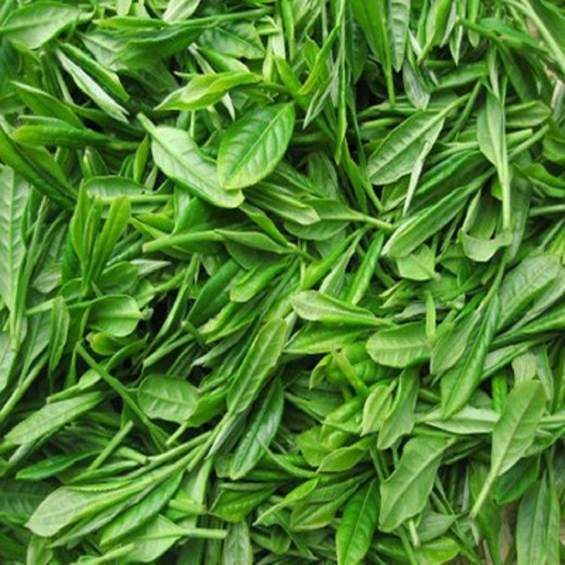 石门绿茶散装茶叶高山云雾炒青浓香2021春茶常德特产500克新茶