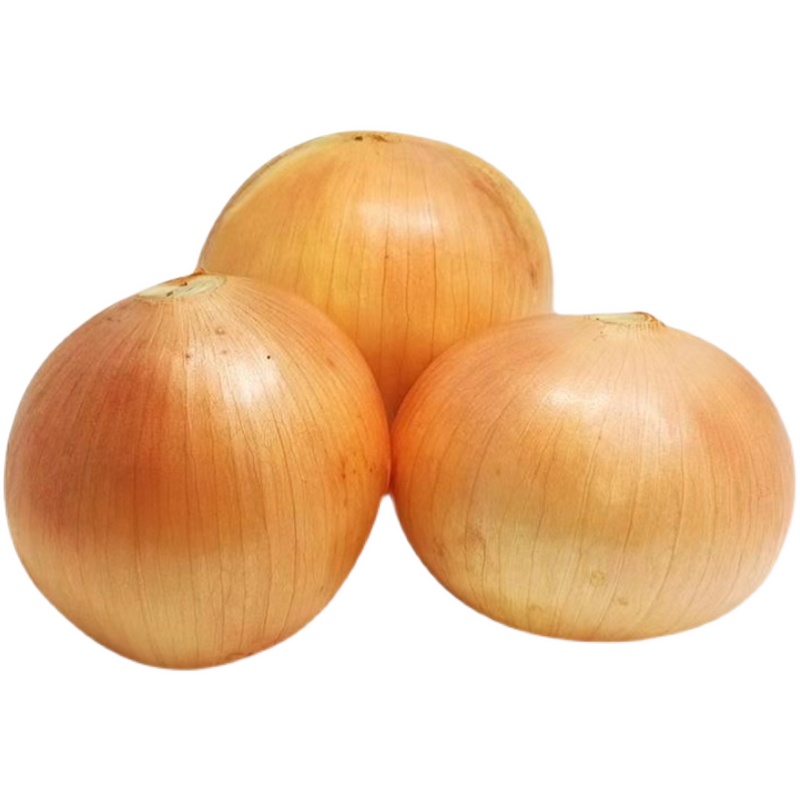 山东黄洋葱东北毛葱洋葱葱类黄皮新鲜自种农家葱类