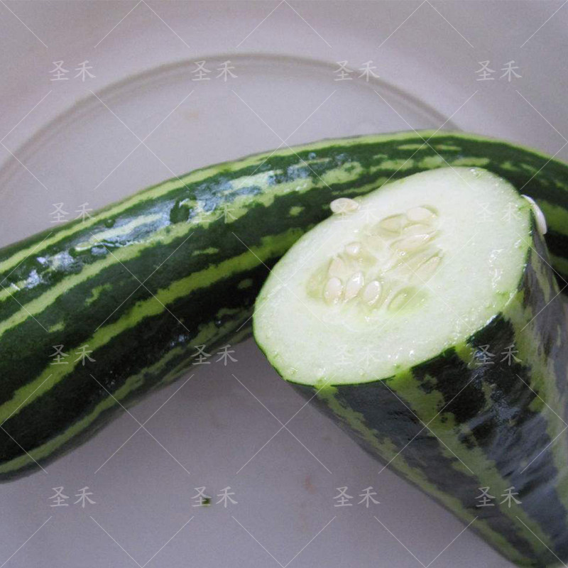 种子花皮烧瓜甜瓜稍瓜早熟高产菜瓜品种酸果家庭园艺种子