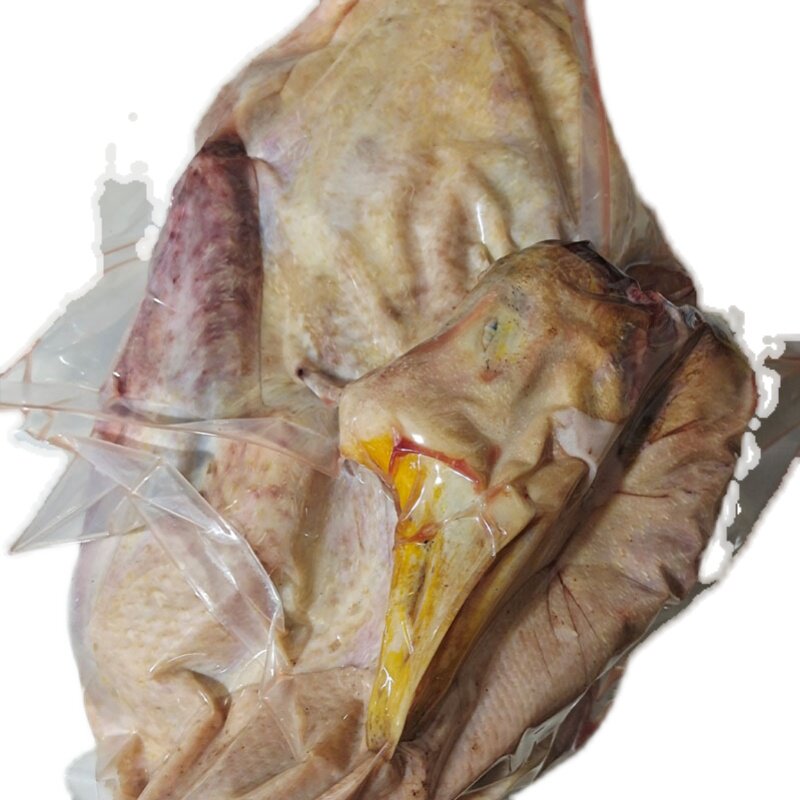 东北纯散养笨大鹅农村老鹅铁锅炖大鹅整只现杀鹅肉