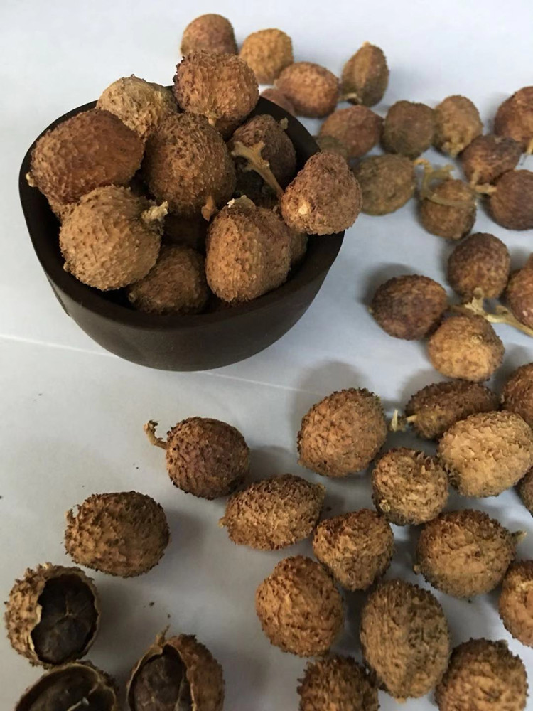 500克春砂阳春特产砂仁春沙养胃暖胃广东中药材砂仁