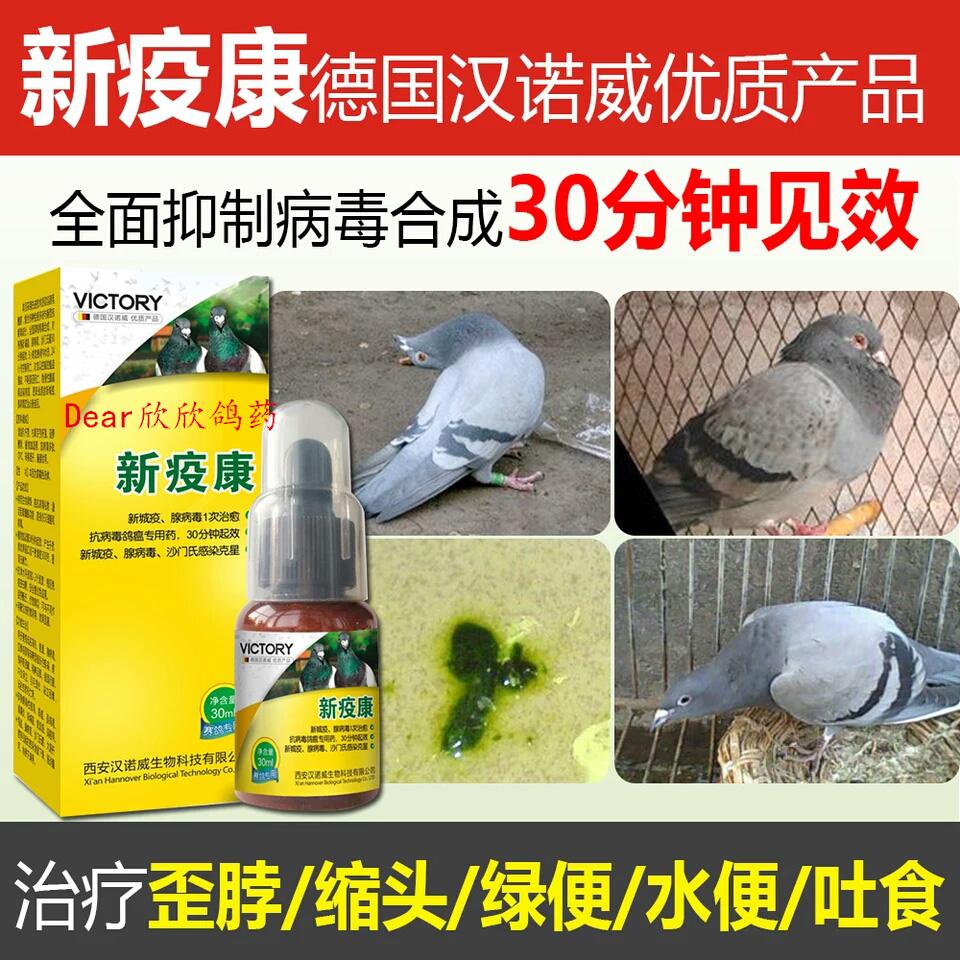 汉诺威新疫康鸽子新城疫治疗鸽瘟疫腺病毒信鸽歪脖沙门氏新城疫