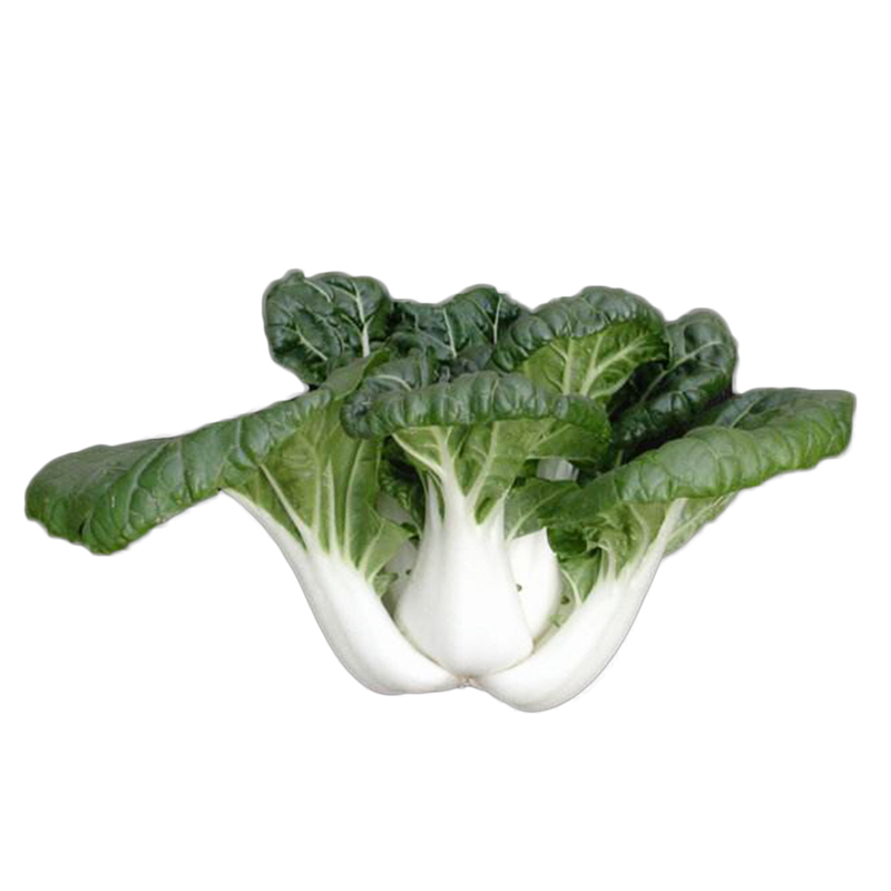 小白菜菜种蔬菜播种四季秋季春秋种籽矮脚白菜家庭园艺种子