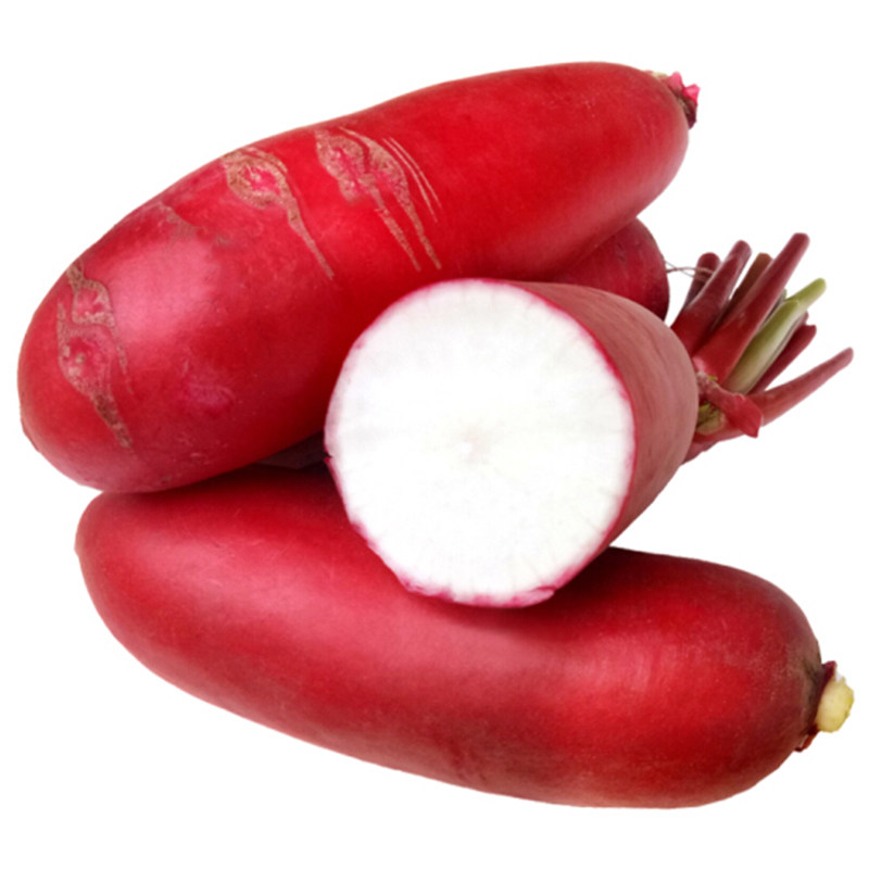 老不糠水萝卜种子甜脆红皮白肉红心水果罗卜家庭园艺种子