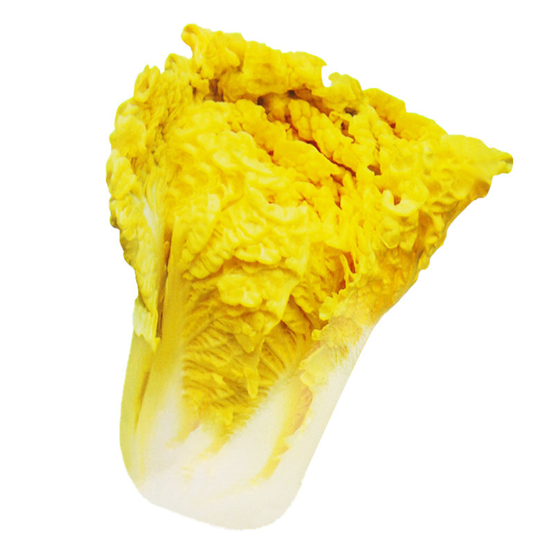 鸡蛋蛋黄大白菜种子中狮黄心白菜四季快菜种籽家庭园艺种子