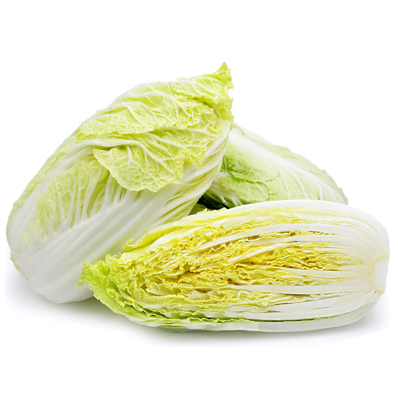 山东黄心大白菜种子种籽秋季耐热冬储白菜抗病家庭园艺种子