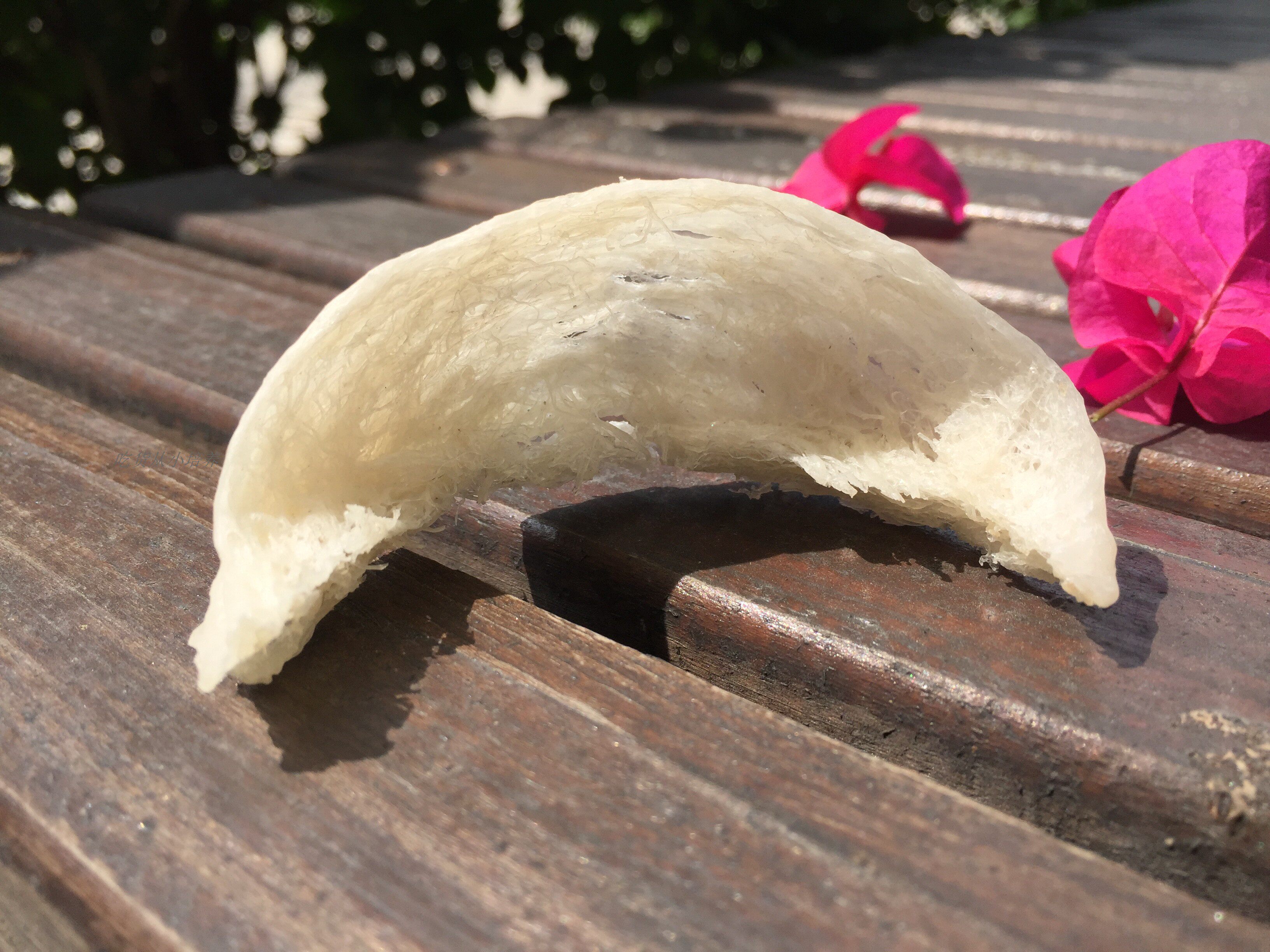 阿运儿家印尼纯人工挑毛不刷胶5a燕盏燕窝20克 约4盏足干出货