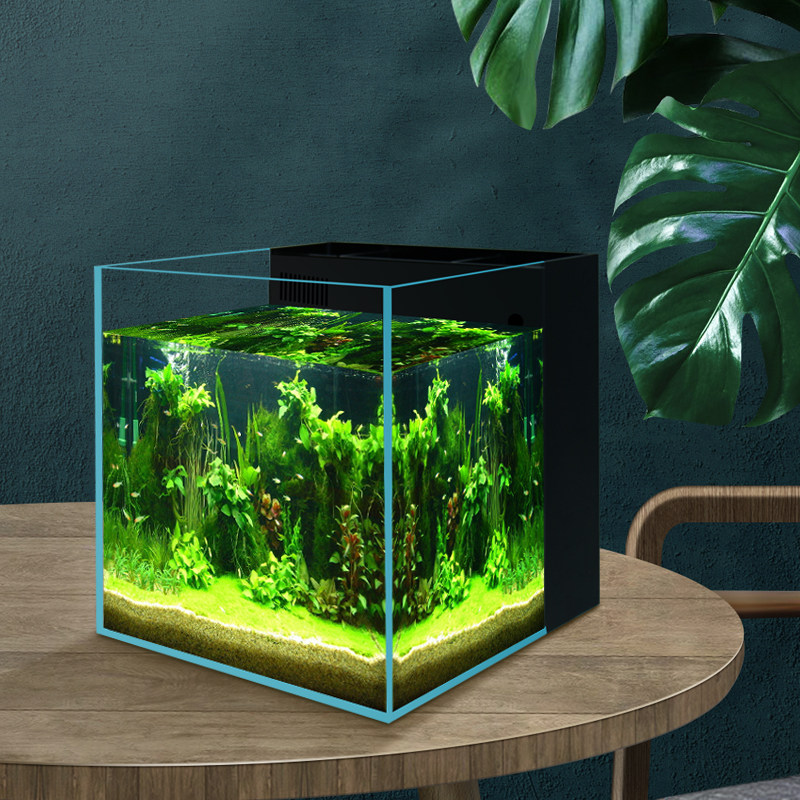 金晶超白背滤缸净水过滤客厅热带鱼小鱼缸办公室中小型生态原生缸