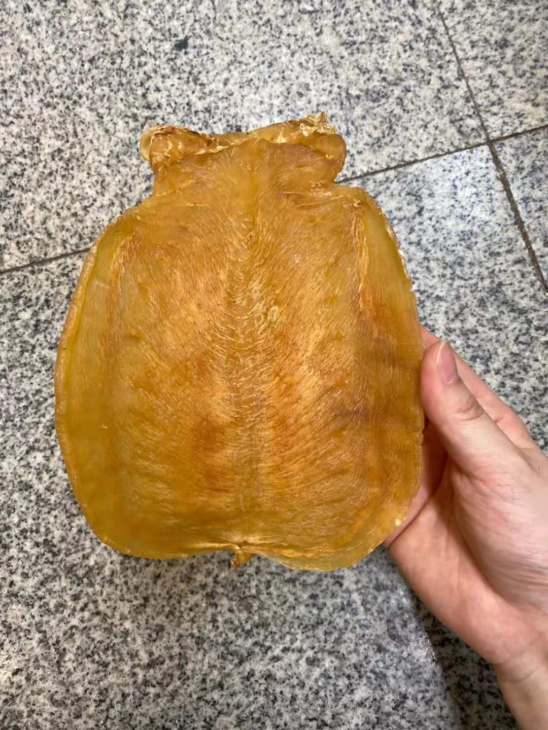 赤嘴单个花胶柔肉老胶公肚鱼胶台山陈年老正宗花胶