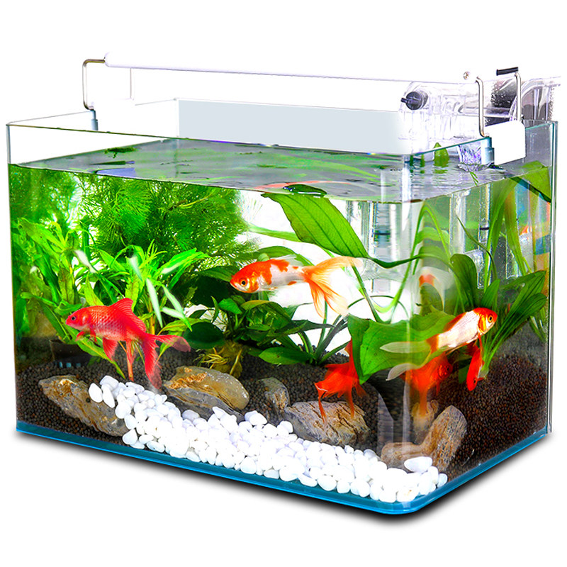 小型客厅生态鱼缸免换水族箱玻璃长方形家用桌面迷你造景金鱼龟缸