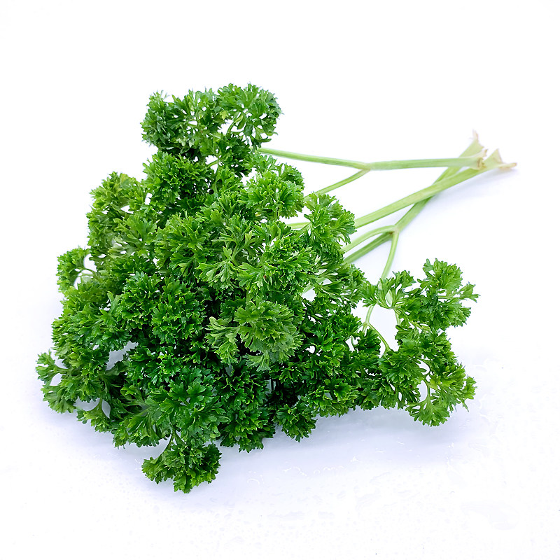 荷兰芹250g 新鲜蔬菜法国香菜香芹洋芫荽旱芹菜西餐香料 5件包邮