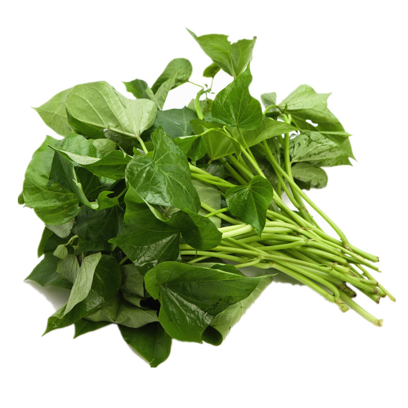 绿色蔬菜 新鲜番薯叶 地瓜叶 白薯叶 地瓜杆 番薯梗子 现摘 500g