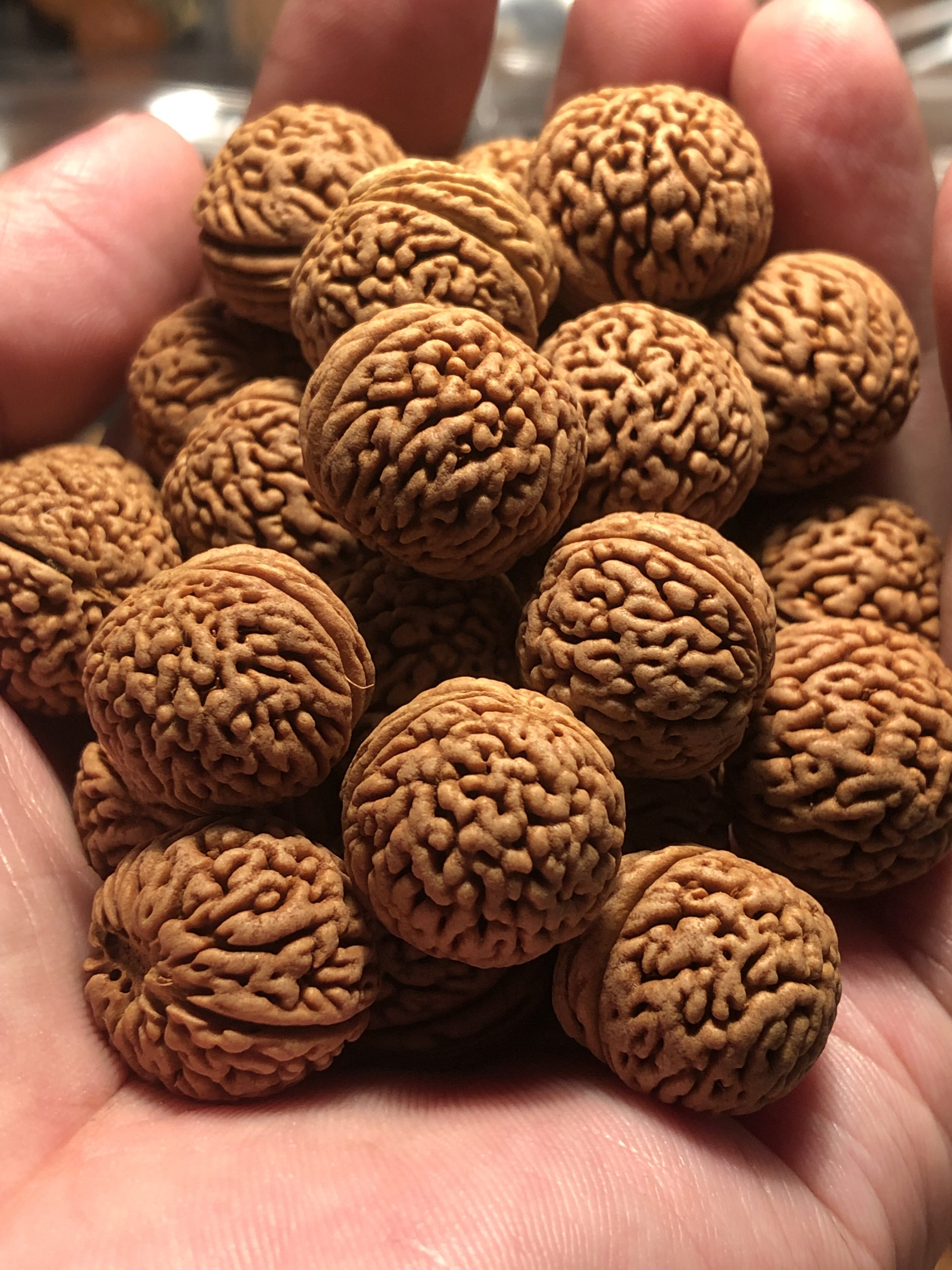 野生山桃核龙鳞凤尾脐矮桩金刚蚂蚁精选散籽免费佛珠