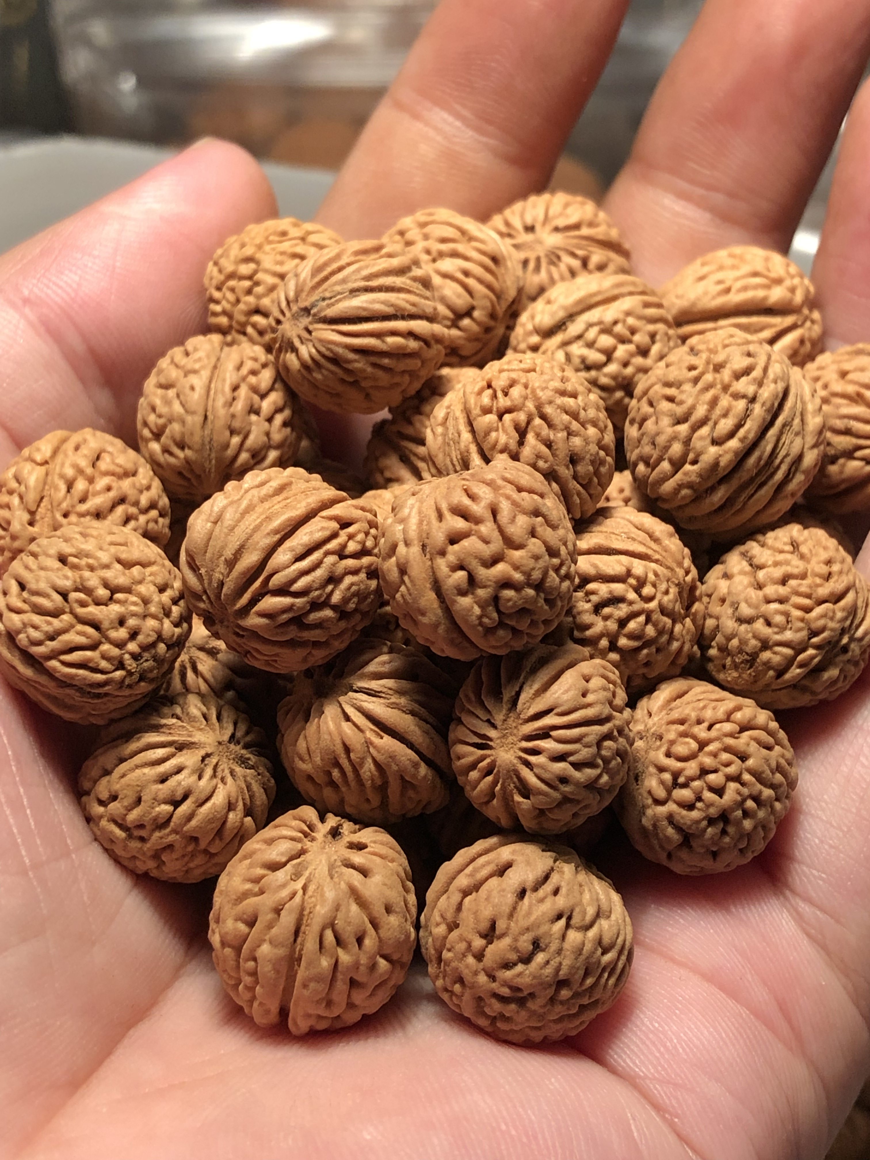 野生山桃核龙鳞凤尾脐矮桩金刚蚂蚁精选散籽免费佛珠