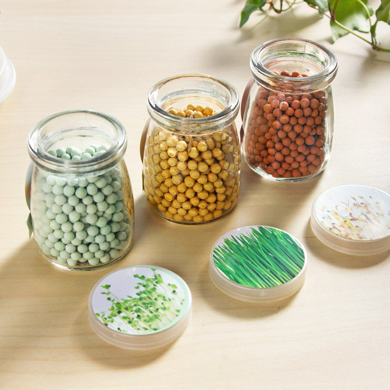 小花农花蛋办公室桌面创意迷你盆栽幸运蛋鸡蛋壳植物蛋生日礼物