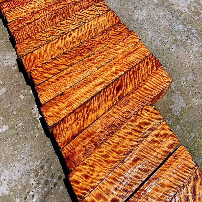 黄金樟水波纹木料满瘤疤毛料原木手串火机弹弓镇木雕