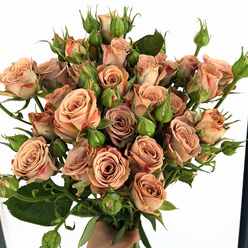 网红卡布奇诺多头蔷薇鲜花甜蜜和风香槟色人鱼公主生日鲜花速递同城