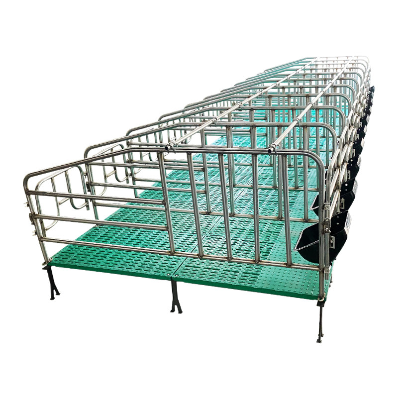 母猪带粪限位落地式简易产床加厚热镀镀锌定位畜牧