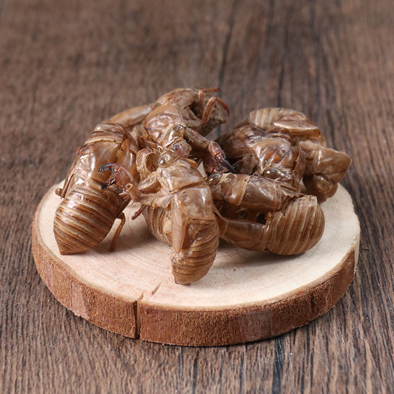 中药材蝉蜕蝉衣知了壳蝉脱自然脱落50克中药材店铺