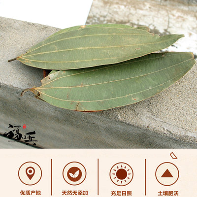 大桂叶500克包邮 肉桂叶大月桂树叶香桂叶香料调料大全卤肉料